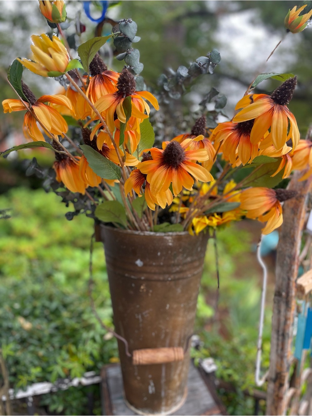 Black Eyed Susan Eucalyptus flowers summer decor rudbeckia